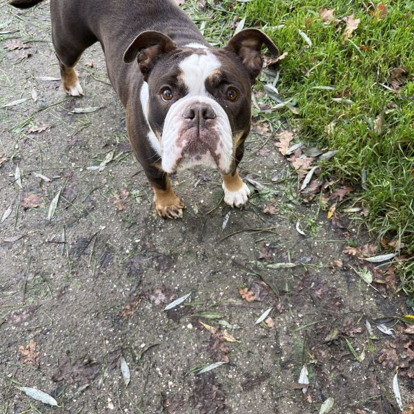 Molly
