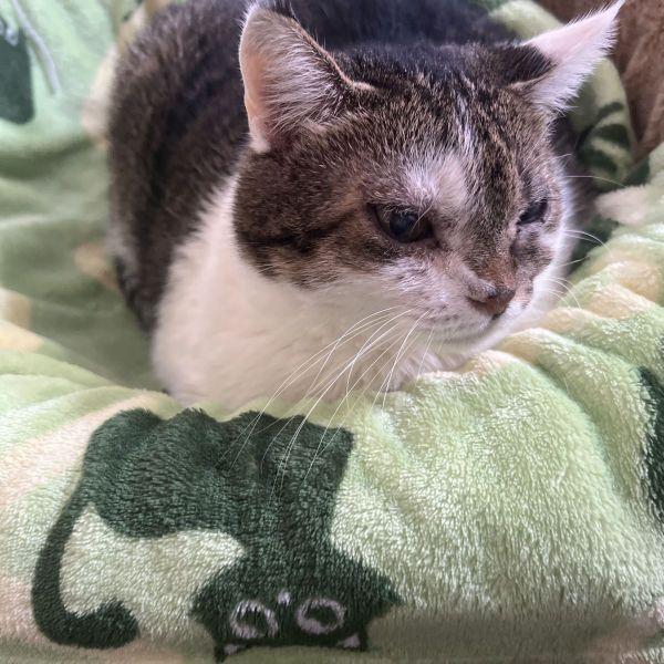 Maru