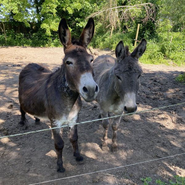 Donny en Casper