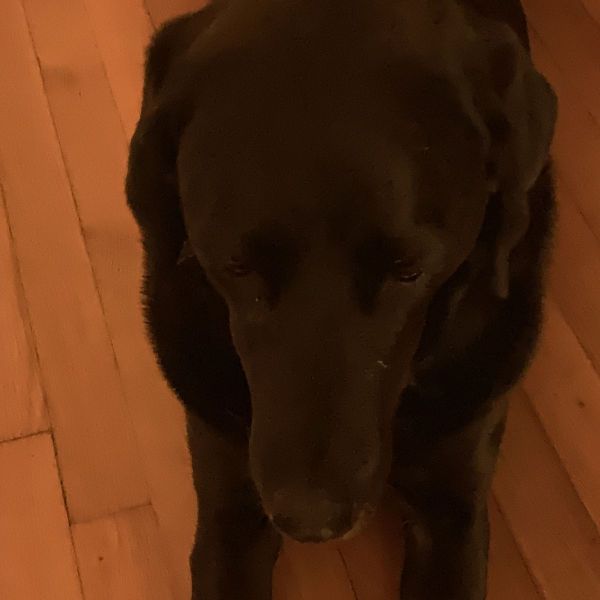 Sam