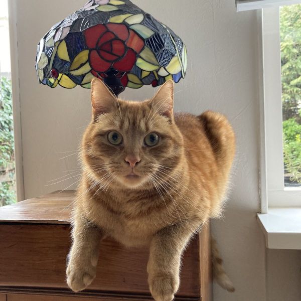 Stormy