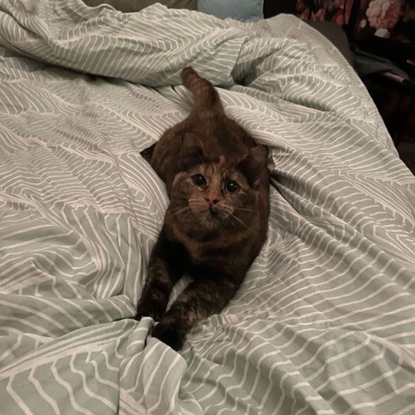 Winnie