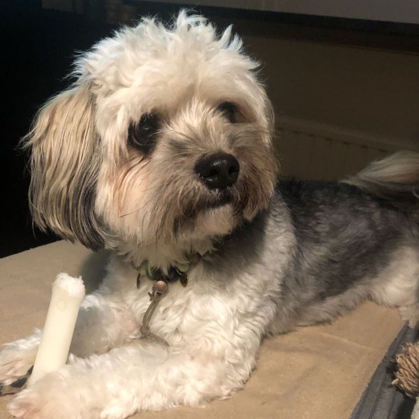 Oakley