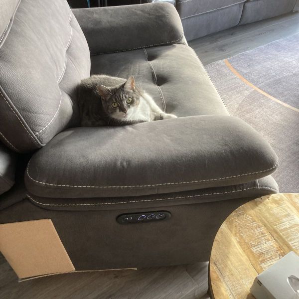 Bella