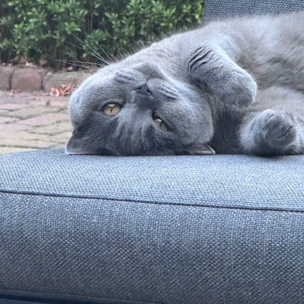 Ben