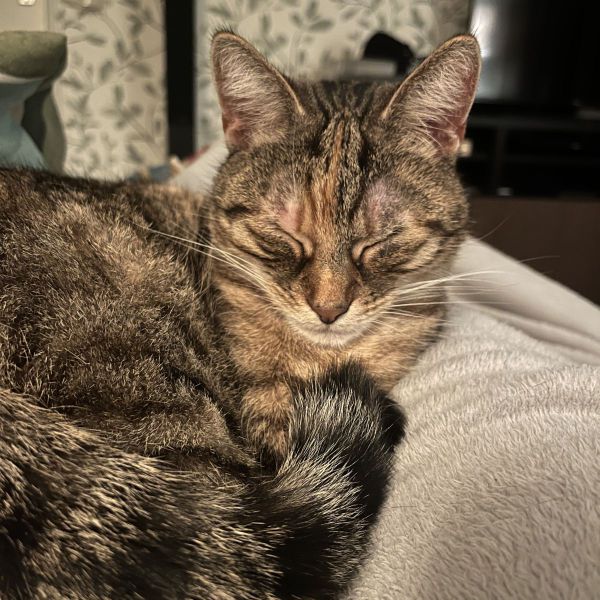 Mia