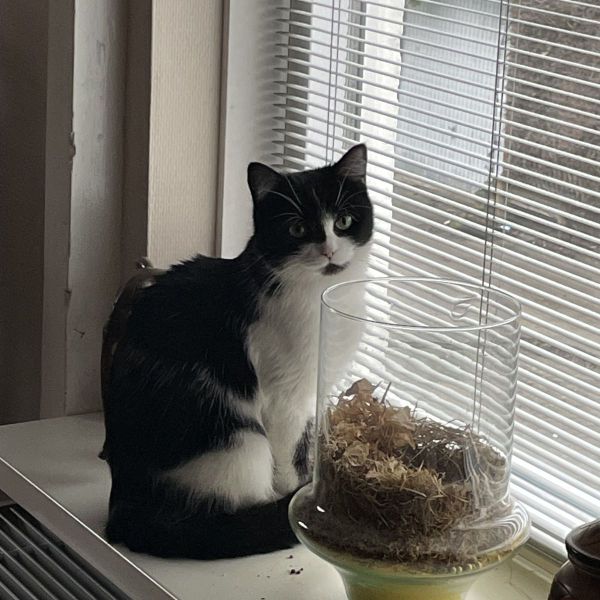 Sammy