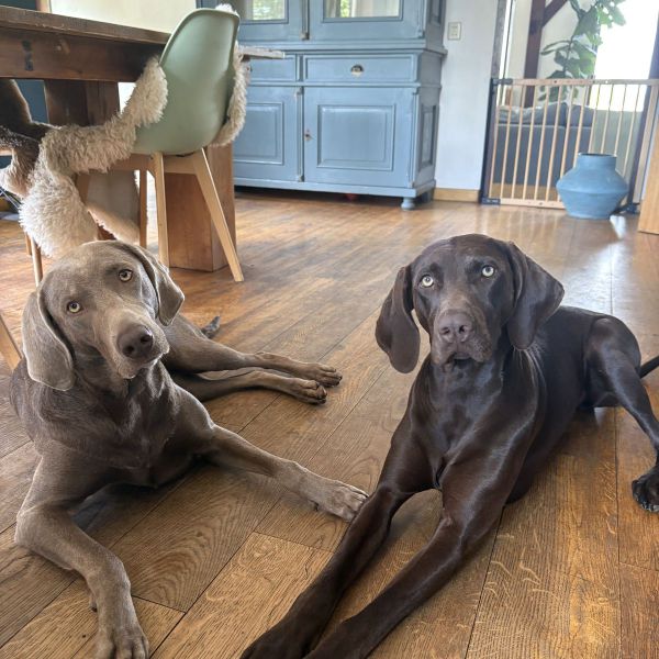 Pien (rechts)