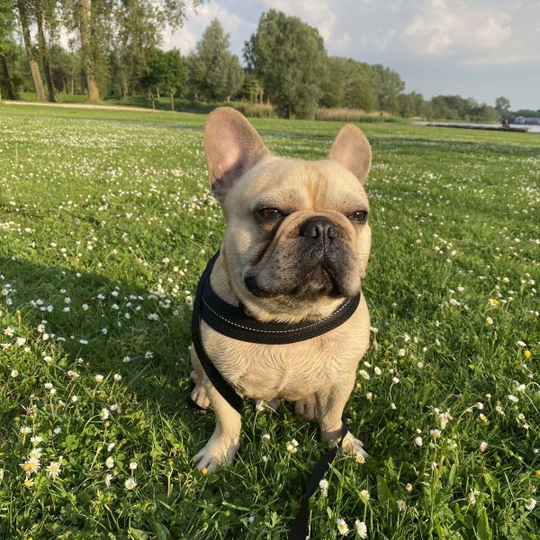 George
