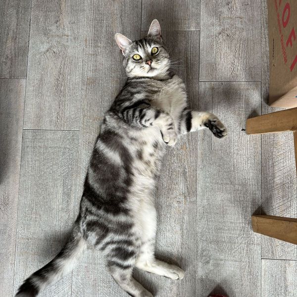 Pablo
