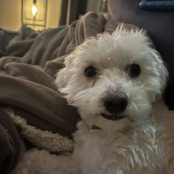 Coco