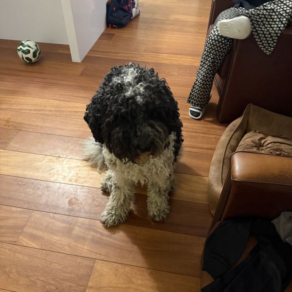 Sam