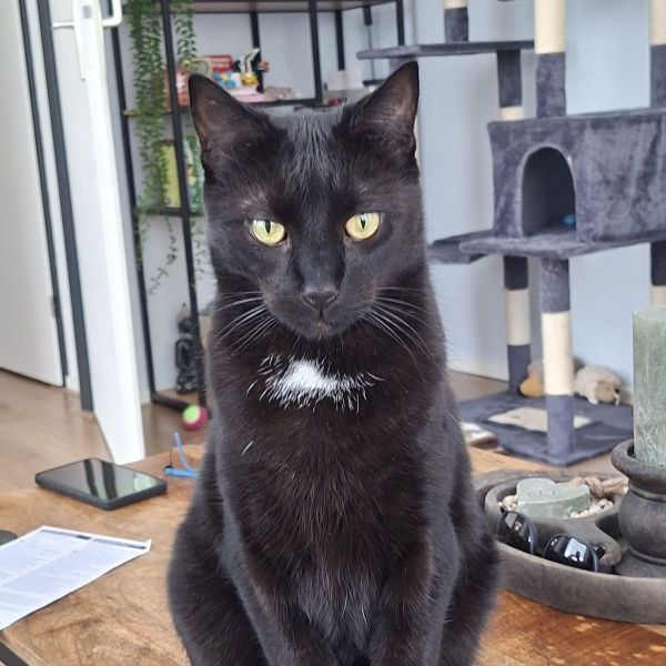 Hendrik