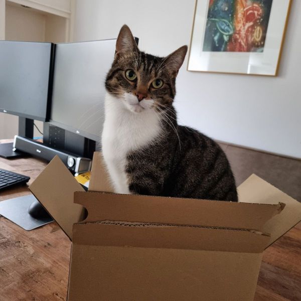 Otto