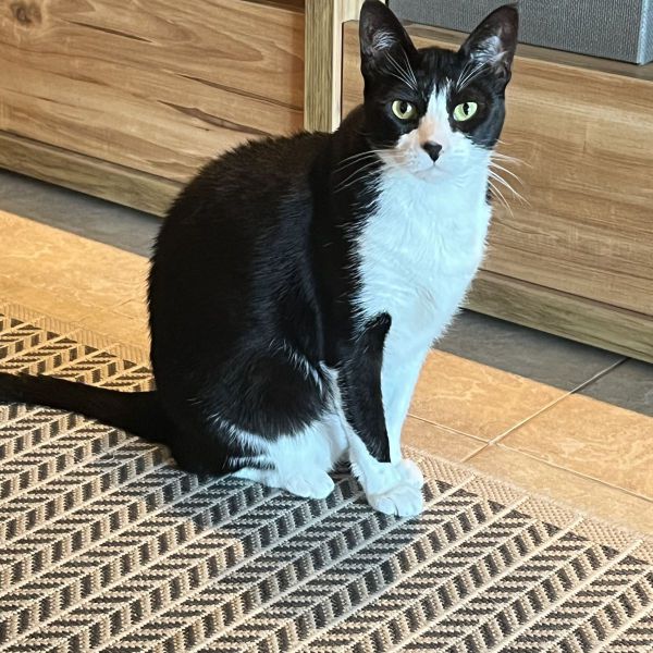 Minnie
