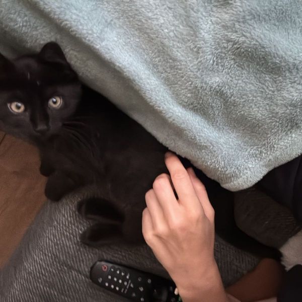 Loki