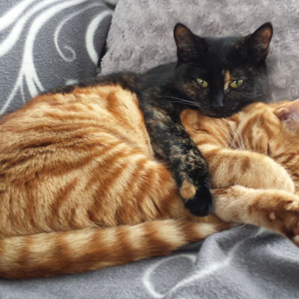 Charly &amp; Otto (zus &amp; broer)