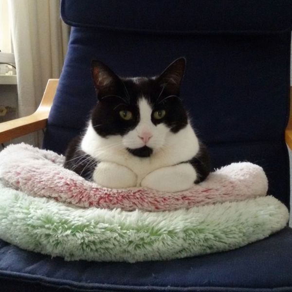 Meatloaf