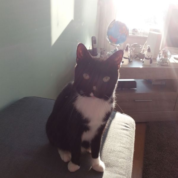 Mimi