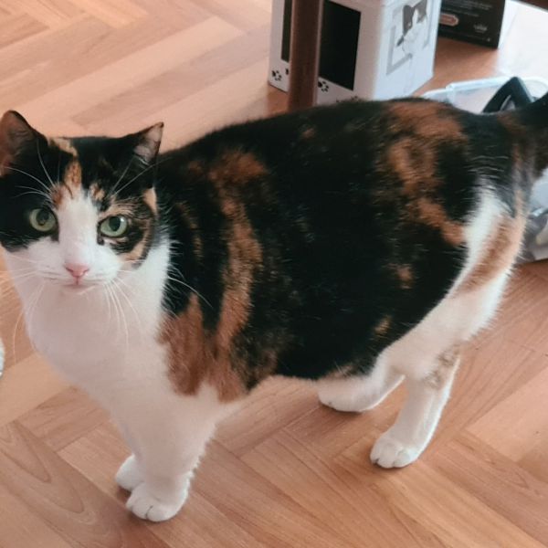 Luna