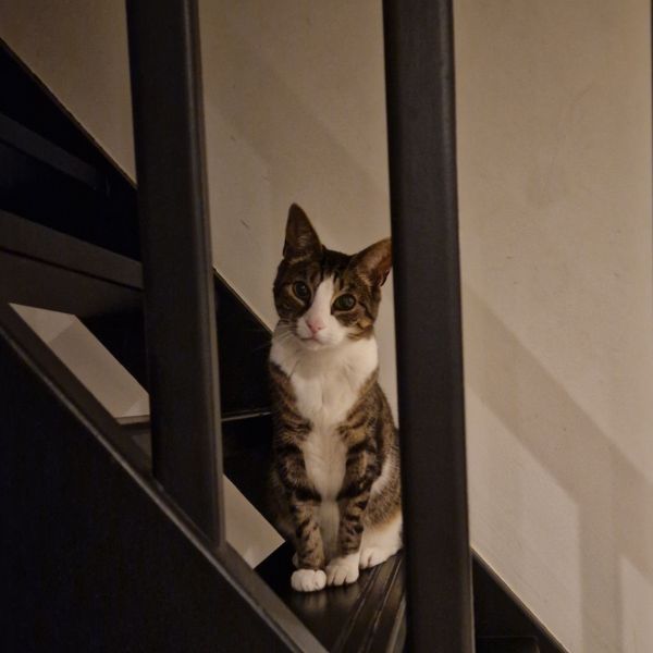 Pablo