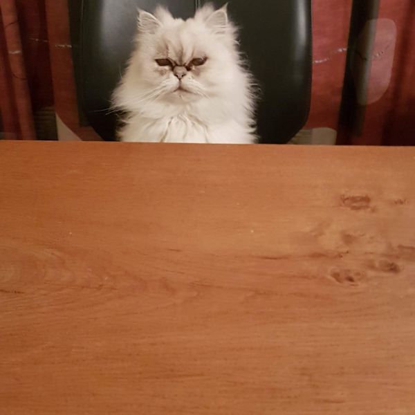 Simba