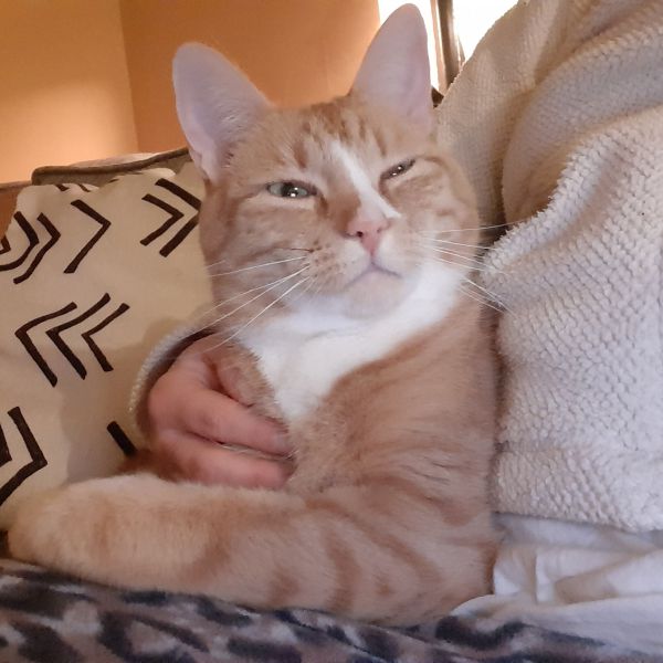 O'Malley