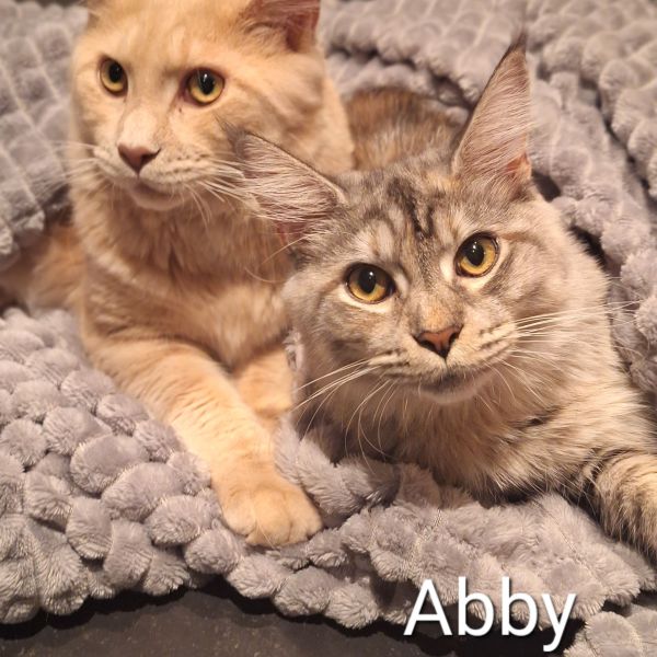 Abby en Garfield