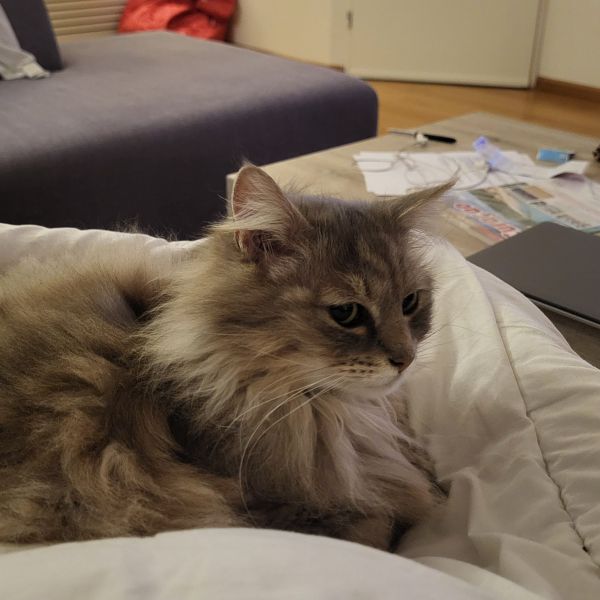 Molly