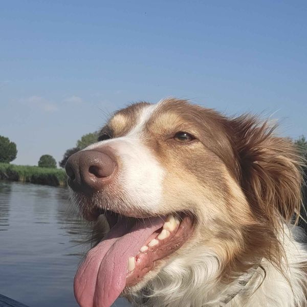 Sam