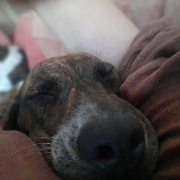 Athena