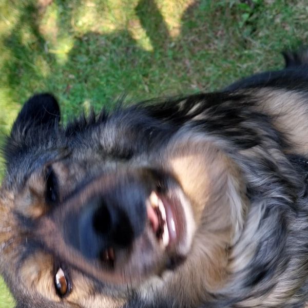 Dora