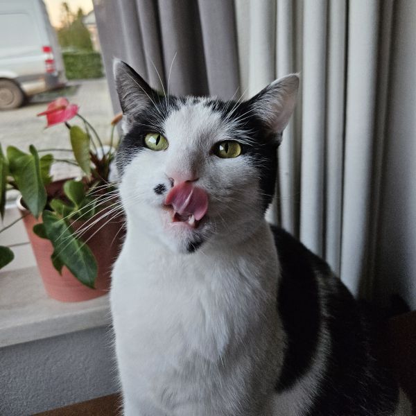 Luna