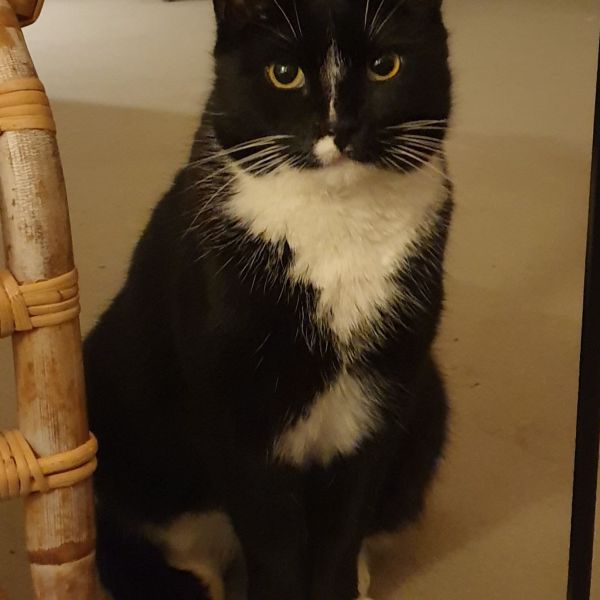 Charlie