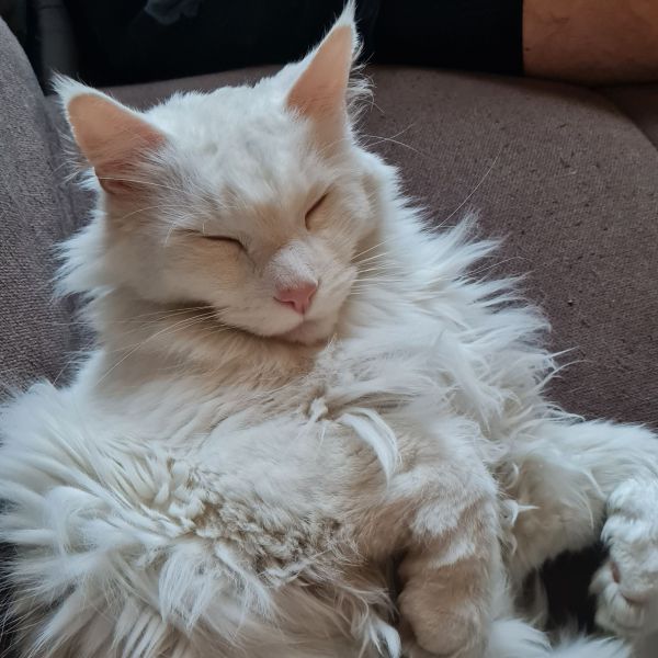 Cloud