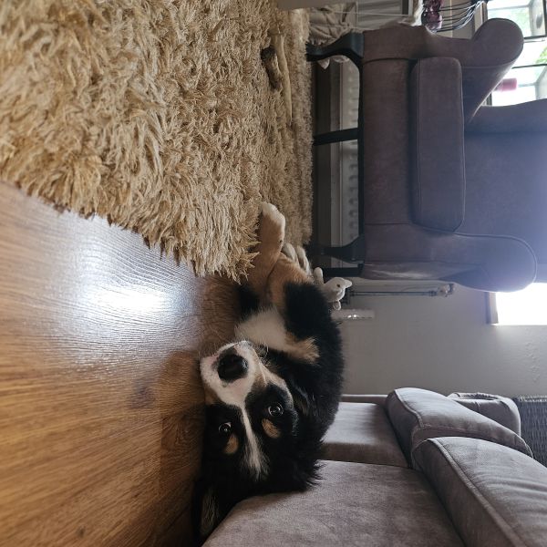 Max