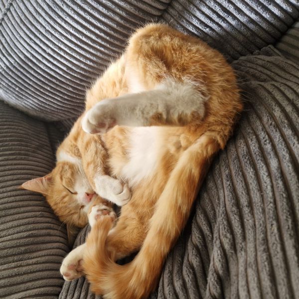 Max