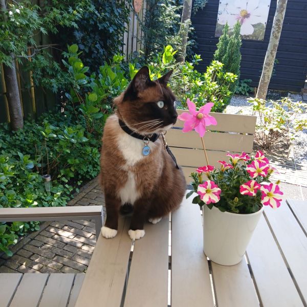 Billy