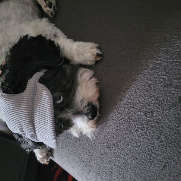 Max