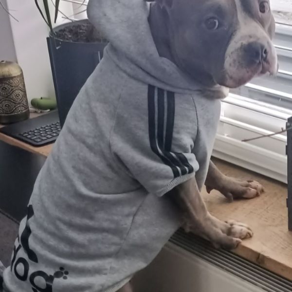 Bianca Van den Heuvel