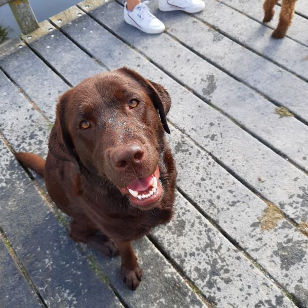 Molly