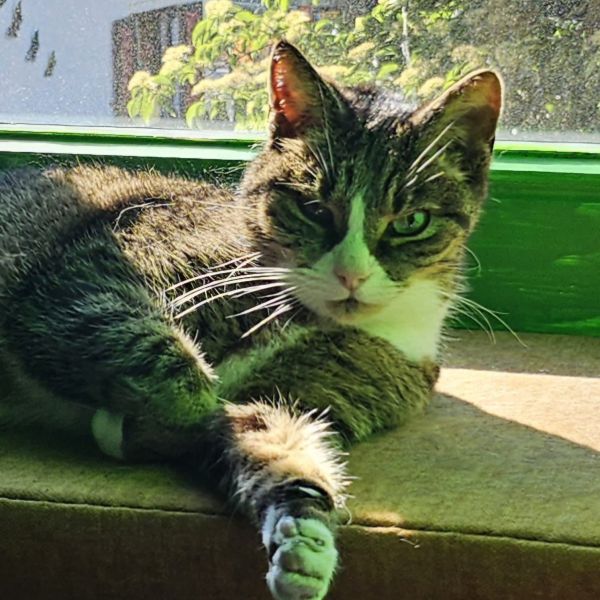 Pip