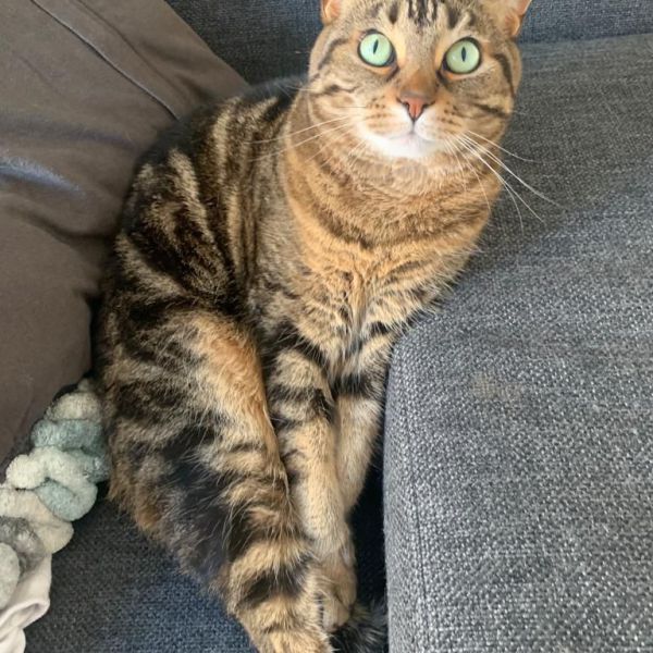 Tubby (geadopteerd)
