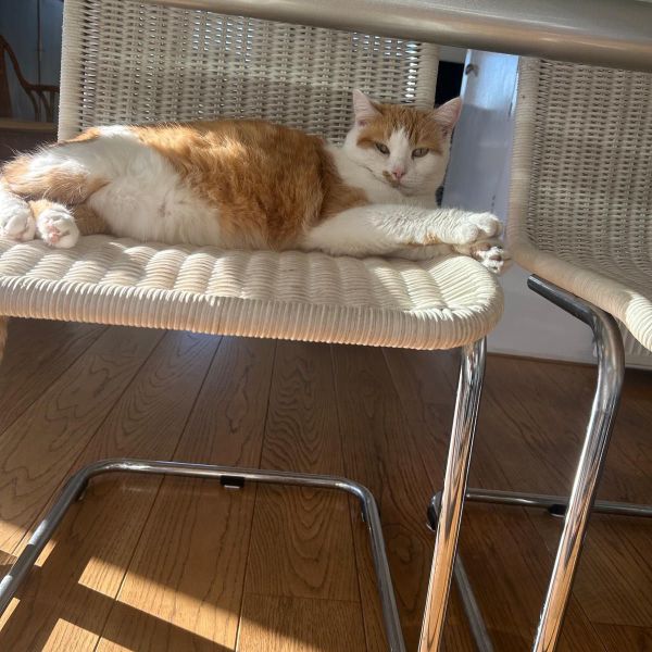 Floortje
