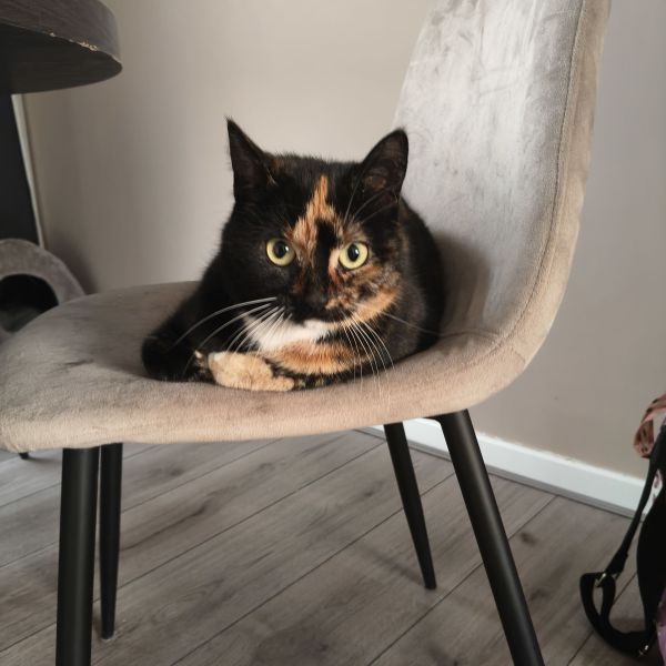 Skye