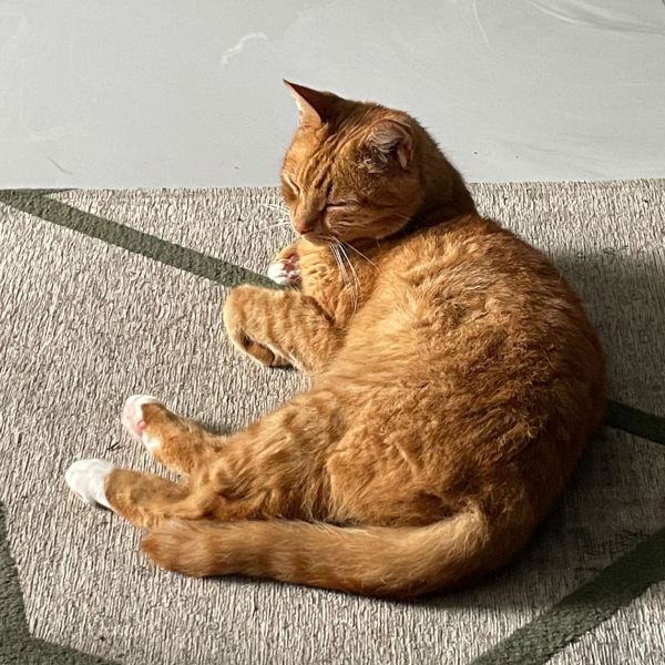 Max