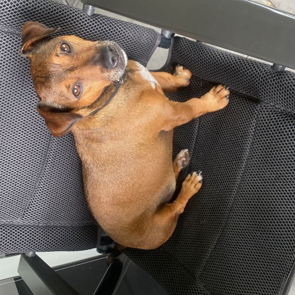 Max