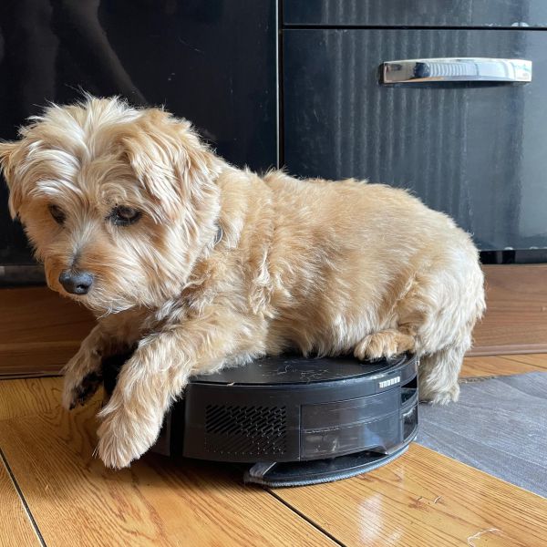 Rusty