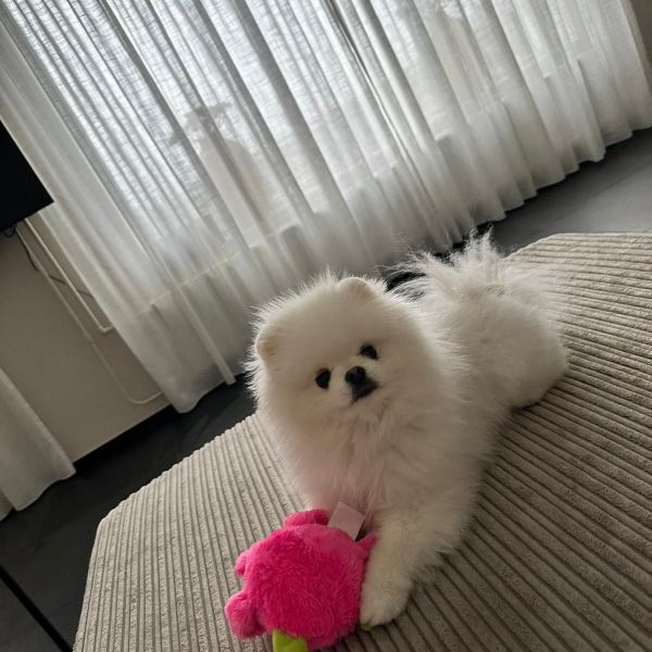 Zilly