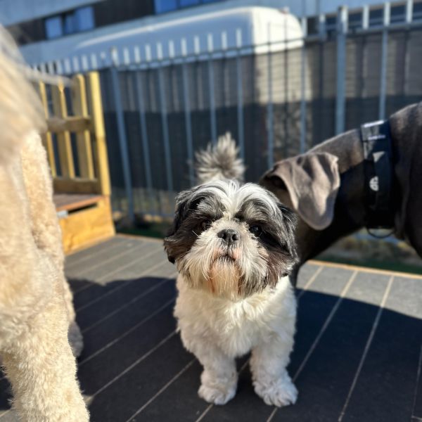 Max